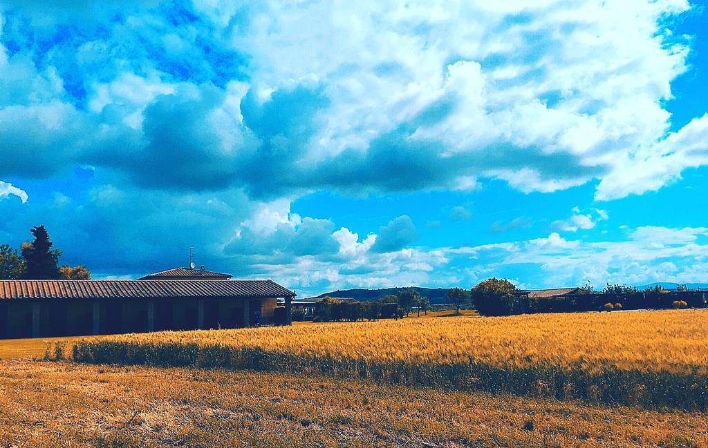 Agriturismo Giuncola & Granaiolo رسبيشا المظهر الخارجي الصورة