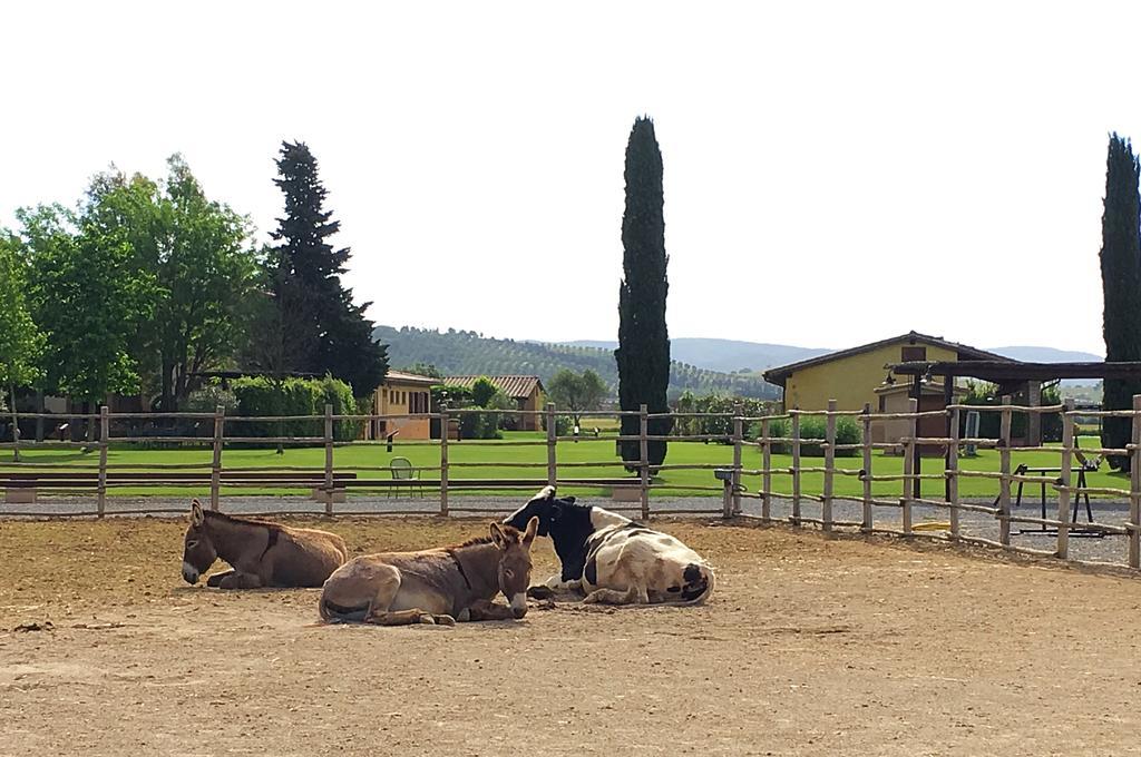 Agriturismo Giuncola & Granaiolo رسبيشا المظهر الخارجي الصورة