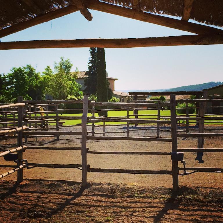 Agriturismo Giuncola & Granaiolo رسبيشا المظهر الخارجي الصورة